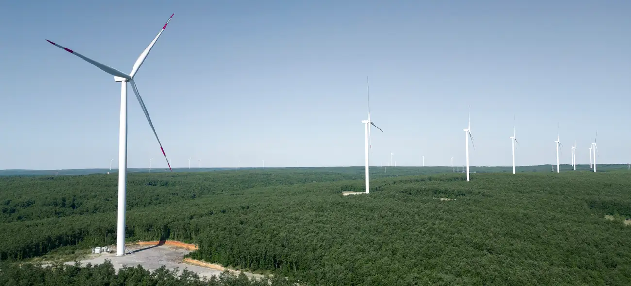 Windräder ziehen sich durch eine bewaldete Landschaft, vorne Zugangsweg zur Anlage.