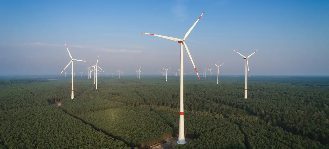 Windpark mit mehreren Windrädern ragt aus ausgedehntem Waldgebiet bei blauem Himmel. Windpark mit mehreren Windrädern ragt aus ausgedehntem Waldgebiet bei blauem Himmel.