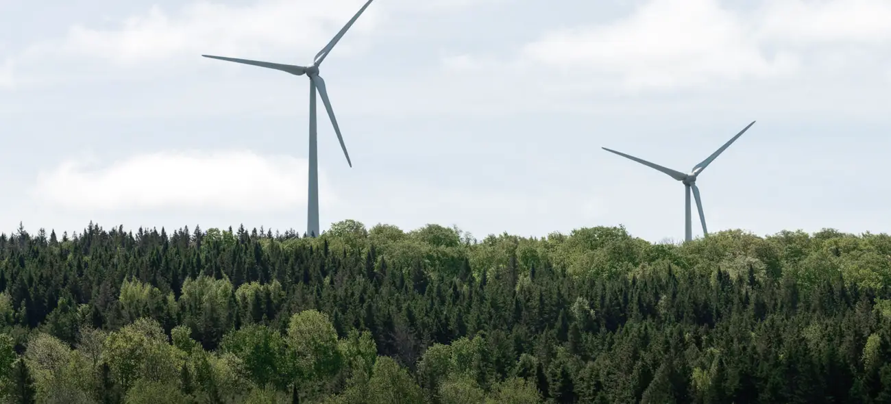 Windenergieanlagen im Wald bei Sonnenlicht.