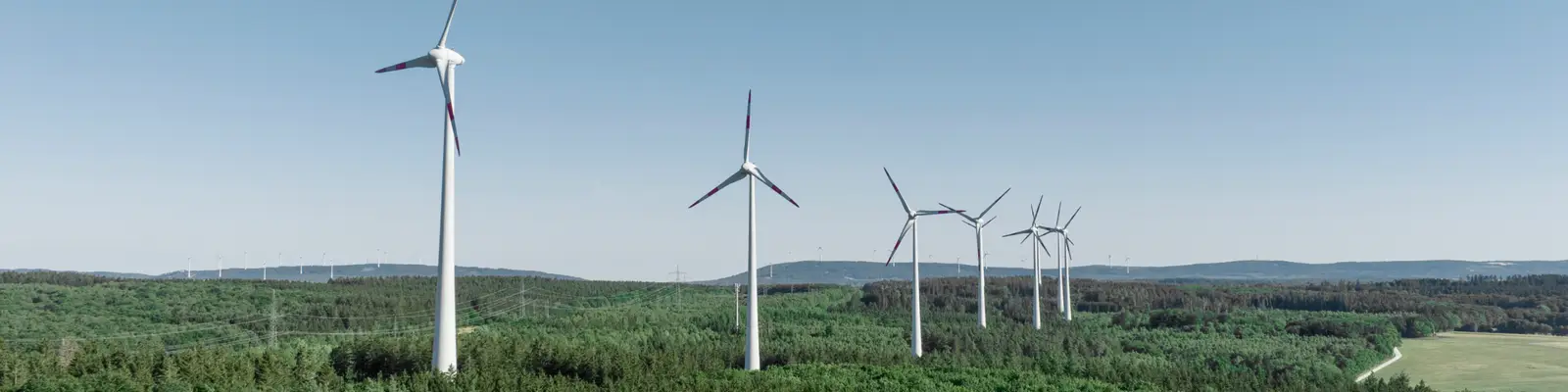 Windkraftanlagen auf Waldflächen von Landes- und Staatsforsten unter blauem Himmel.