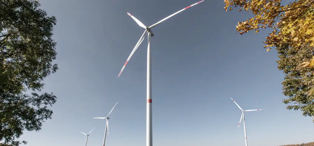 Windräder und Bäume eines Flächenpooling-Projekts aus der Froschperspektive. Windräder und Bäume eines Flächenpooling-Projekts aus der Froschperspektive.