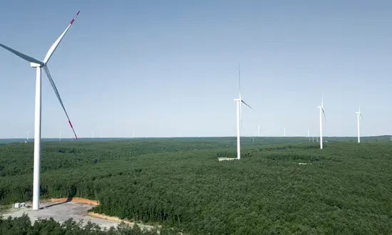 Windenergie im Wald – Chancen, Risiken und Herausforderungen für Waldbesitzer Windräder ziehen sich durch eine bewaldete Landschaft, vorne Zugangsweg zur Anlage.