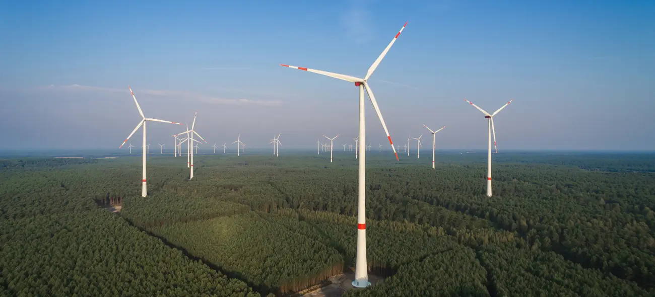 Windpark mit mehreren Windrädern ragt aus ausgedehntem Waldgebiet bei blauem Himmel.
