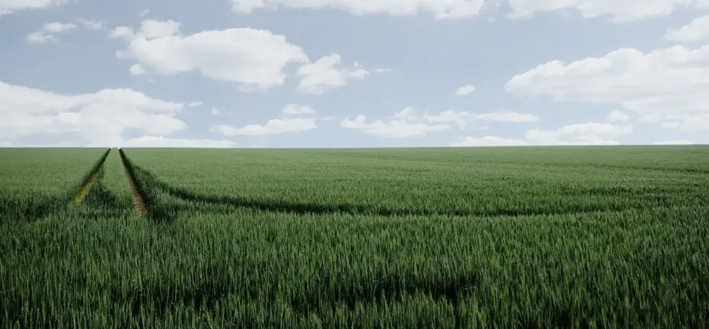 Grünes Ackerfeld unter blauem Himmel, deutet Windkraftpotenzial an.